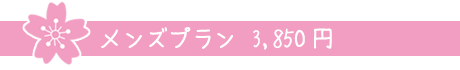 メンズプラン　3,850円